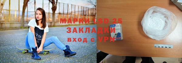 дурь Бородино