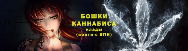 дурь Бородино