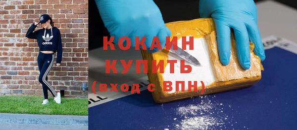 дурь Бородино
