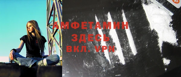 дурь Бородино