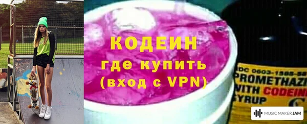 дурь Бородино